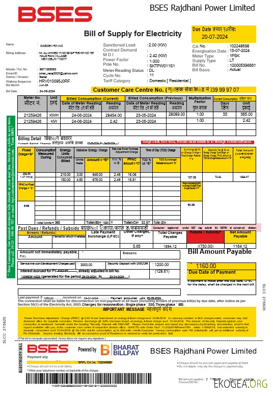 Modèle Word et PDF de facture de services publics d'électricité de l'Inde Bses trang